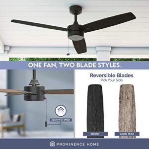 Prominence Home Journal, 52 Inch Contemporary Indoor Outdoor Ceiling Fan with No Light, Pull Chain, Dual Mounting Options, Dual Finish Blades, Reversible Motor - 51466-01 (Matte Black)