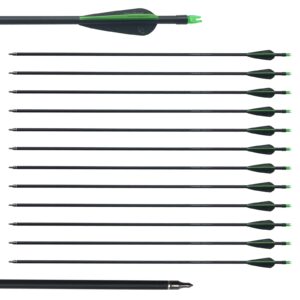 Sososhoot 12Pcs Archery 28" Fiberglass Arrows for Compound Bow Recurve Bow Hunting Target Practice