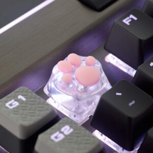 wwkeycaps Special Edition New Model 3D Printing Gaming Keycaps Cherry MX keycaps Machinery Keyboard keycaps Cat's paw Shape is Suitable Mechanical Keyboard (Transparent)