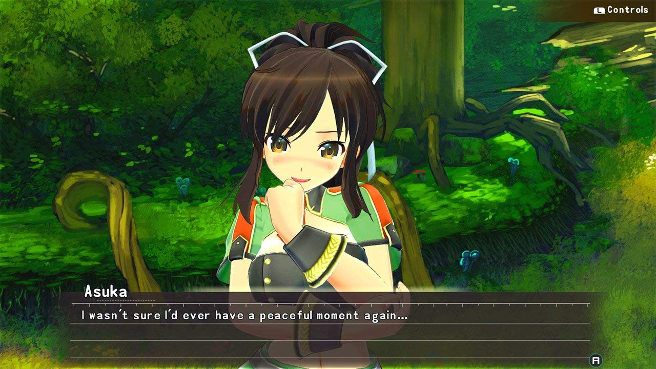 Senran Kagura Reflexions - Nintendo Switch