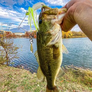 Catch Co 10,000 Fish Yoto Worm Soft Plastic Creature Bait Fishing Lure Watermelon Red Flake 4.75"