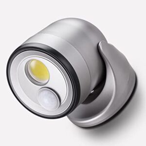 LIGHT IT! by Fulcrum, 33001-101 LED Floodlight, Silver, Single Pack