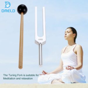 440 Hz Tuning Fork, A440Hz Tuning Fork with Silicone Hammer Bag for Violin Guitar Tuner Instrument, DNA Repair Healing, Sound therapy, Perfect Healing, Balancing, Healers, Vibration