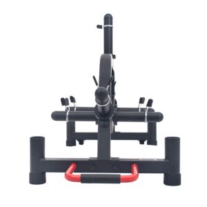 Sunny Health & Fitness Multi-Weight Plate and Barbell Rack Storage Stand - SF-XF9938, Black