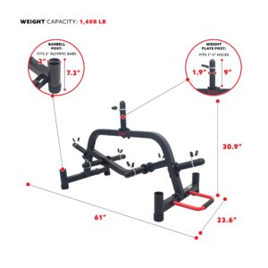 Sunny Health & Fitness Multi-Weight Plate and Barbell Rack Storage Stand - SF-XF9938, Black