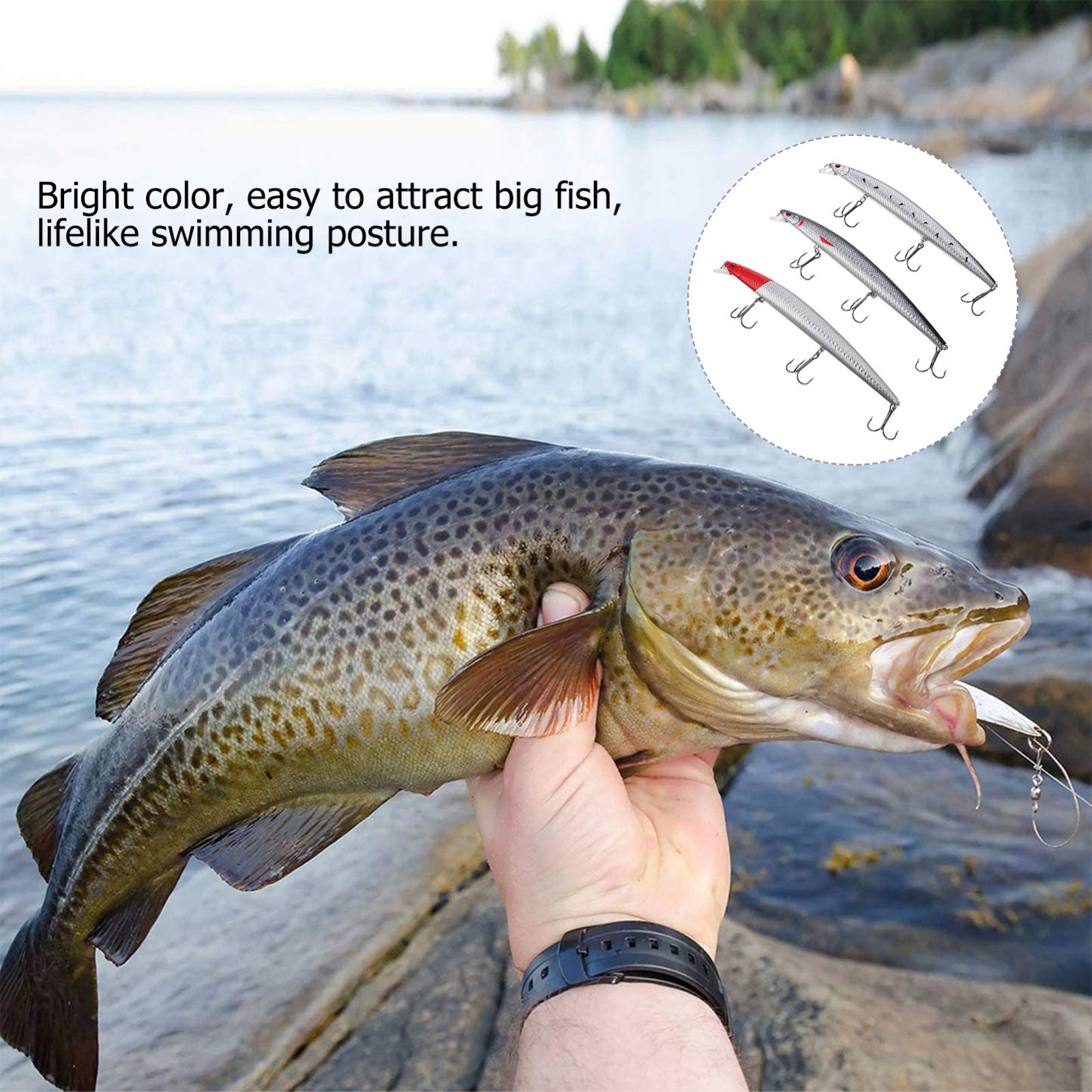 BESPORTBLE 3pcs Bait Artificial Fishing Tackle Fishing Accessory Fishing Supplies Outdoor Fake Lure Life-Like Fishing Lure Fake Fishing Lures Imitation Fishing Hook Household Fishing Tackle