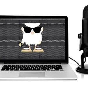 Blue Microphones Yeti (Blackout) Professional Multi-Pattern USB Microphone Bundle with Pop Filter (2 Items)