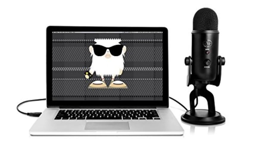 Blue Microphones Yeti (Blackout) Professional Multi-Pattern USB Microphone Bundle with Pop Filter (2 Items)