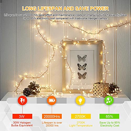 Letaclanic G4 SMD LED Light Bulbs, 3000K Warm White Lighting Dimmable, 3W Equivalent to 30W AC DC 12V-24V, Bi-pin LED Bulb Silicone G4 LED Bulbs (10 Pack)