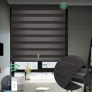 yoolax motorized zebra blinds works with alexa, motorized blinds with remote custom size, privacy electric blinds zebra blinds for windows (95% shading carbon black)