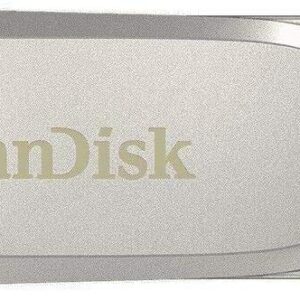 SanDisk 64GB Flash Drive (Bulk 2 Pack) Ultra Dual Drive Luxe USB Type-C for Smartphones, Tablets, and Computers - High Speed USB 3.1 (SDDDC4-064G-G46) Bundle with (1) Everything But Stromboli Lanyard