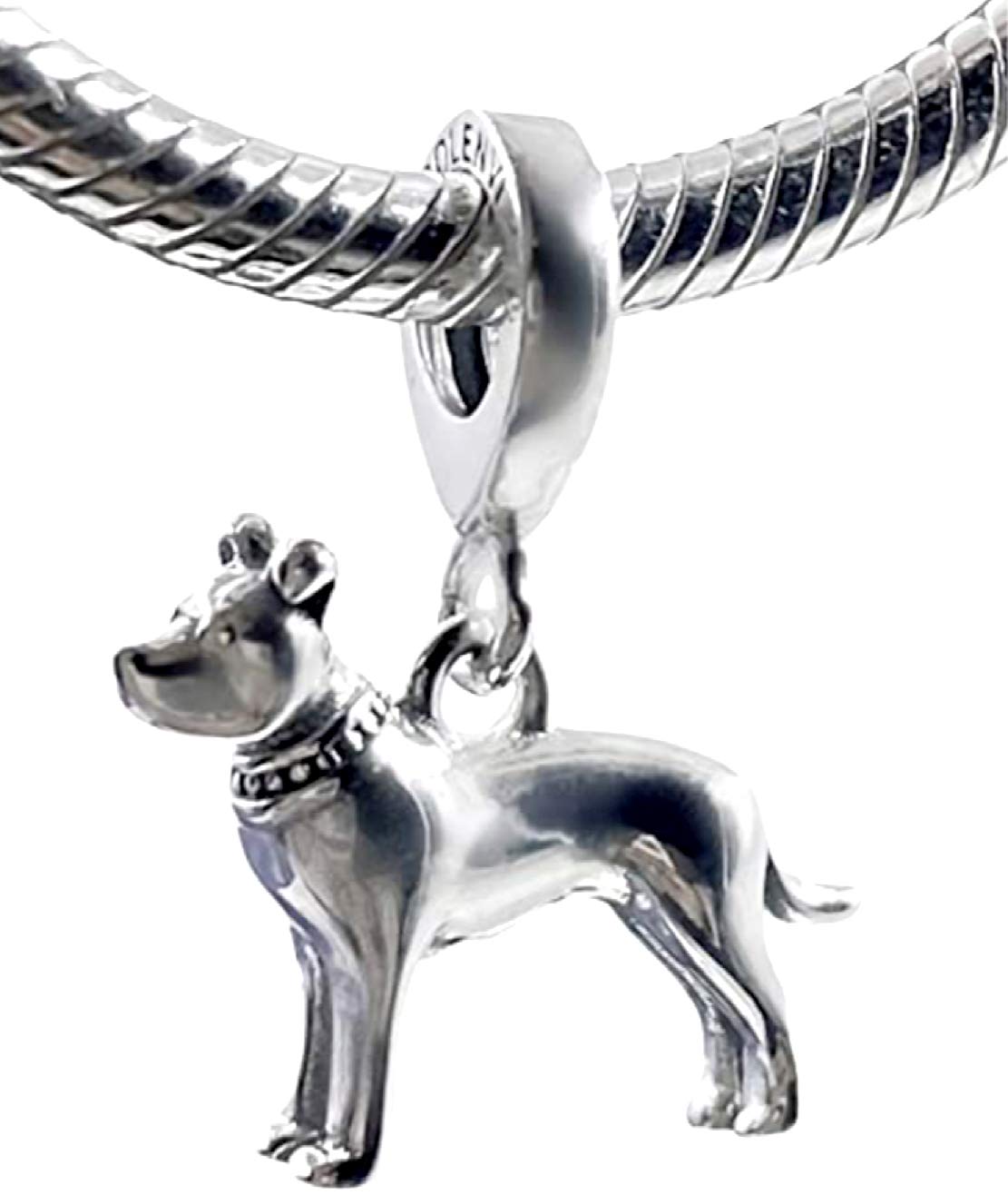 Bolenvi Pitbull American Pit Bull Terrier Bully Dog 925 Sterling Silver Pendant Charm Bead for Pandora & Similar Charm Bracelets or Necklaces