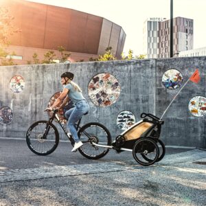 Thule Chariot Lite Multisport Trailer & Stroller