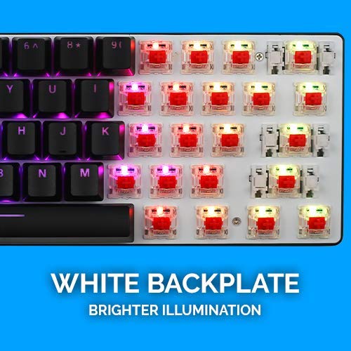 Whirlwind FX Atom 60% Gaming Keyboard: Interactive and Customizable Lighting – Immersive, Reactive RGB Experience (Blue Clicky)