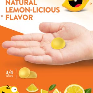 Vitamin C Gummies for Kids | with Zinc | 60 Count | Vegetarian, Non-GMO & Gluten Free | by Natures Truth