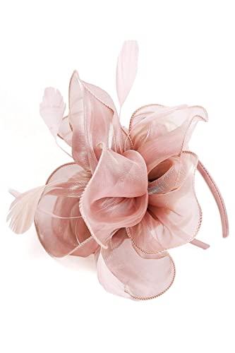 Gionforsy Kentucky Derby Hat Fascinator Veil Fascinator Headband Lace Gloves Imitation Pearl Necklace Earrings Feather Pillbox Fascinator for Wedding Tea Party (Style 6-Pink)