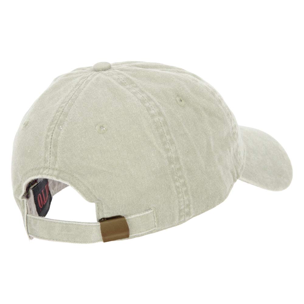 US Coast Guard Veteran Embroidered Washed Cap - Red OSFM