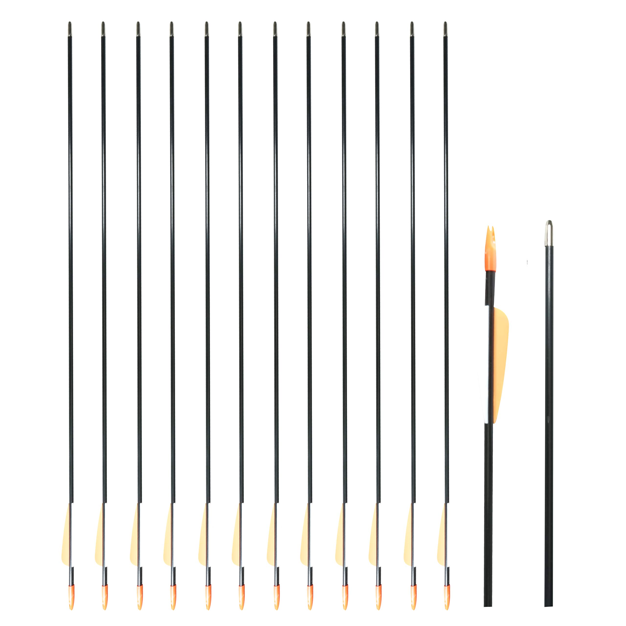 SAS Fiberglass Archery Arrow 28" with 3" Vanes + Coat Head + Plug Nock for Youth Target Practice Recurve Compound Bow Shooting Recreation Kid Range (Black 12/Pack)