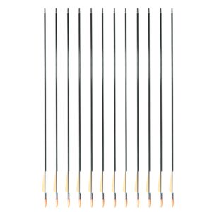 SAS Fiberglass Archery Arrow 28" with 3" Vanes + Coat Head + Plug Nock for Youth Target Practice Recurve Compound Bow Shooting Recreation Kid Range (Black 12/Pack)