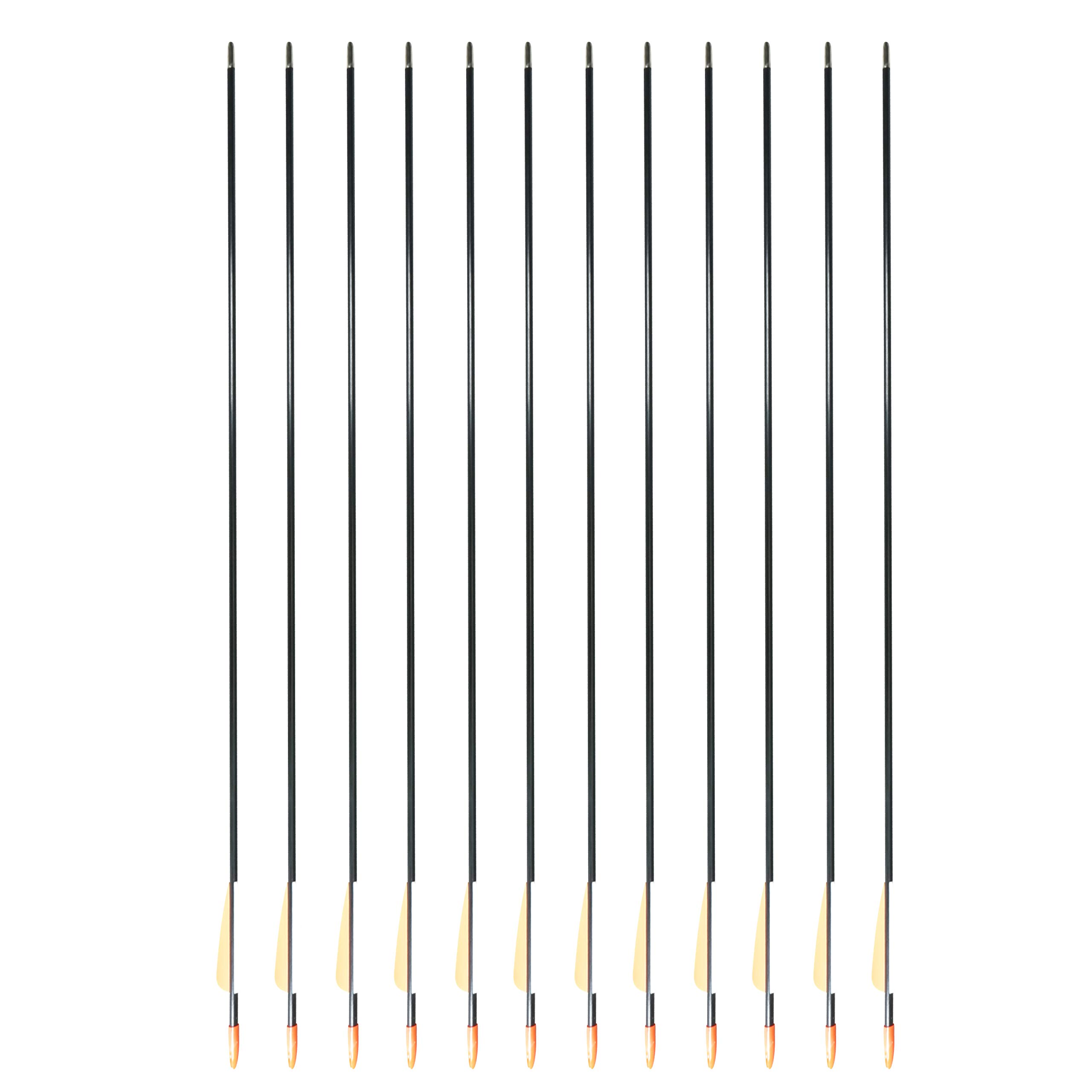 SAS Fiberglass Archery Arrow 28" with 3" Vanes + Coat Head + Plug Nock for Youth Target Practice Recurve Compound Bow Shooting Recreation Kid Range (Black 12/Pack)