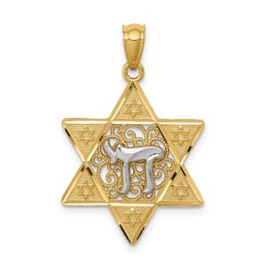 14k two-tone gold polished star of david w/chai pendant qk5707