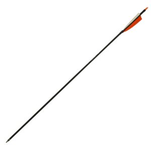 SAS Oblivion 30" Carbon Arrow 500 w/ 4" Feathers (12/Pack) Fletched with Extra 6xNocks + Replaceable Points (100-Grain) w/ O-Ring + Protect Sleeve + Plug Nock for Hunting Youth/Adults - (4" Feathers)