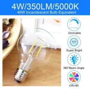 Energetic 12-Pack LED Globe G25 Dimmable Edison Light Bulb, 40 Watt Equivalent, 5000K,350LM, E26 Medium Screw Base, Christmas Light, G80 LED Edison Light Bulb, UL Listed…