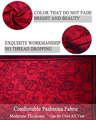 Iristide Women's Pashmina Shawl Paisley Pattern Scarf Tassels Wrap Colorful Ethnic (2005-Red &Black)