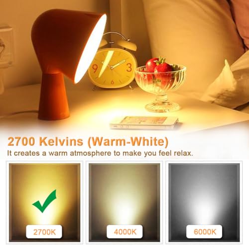 Vintage LED Bulbs ST64 6W Equivalent 60W, 2700K Warm White 800lm Dimmable Brightness LED Light Bulbs with E26 Base and Frosted Glass Cover, Pack of 3 (2700K, 6W)