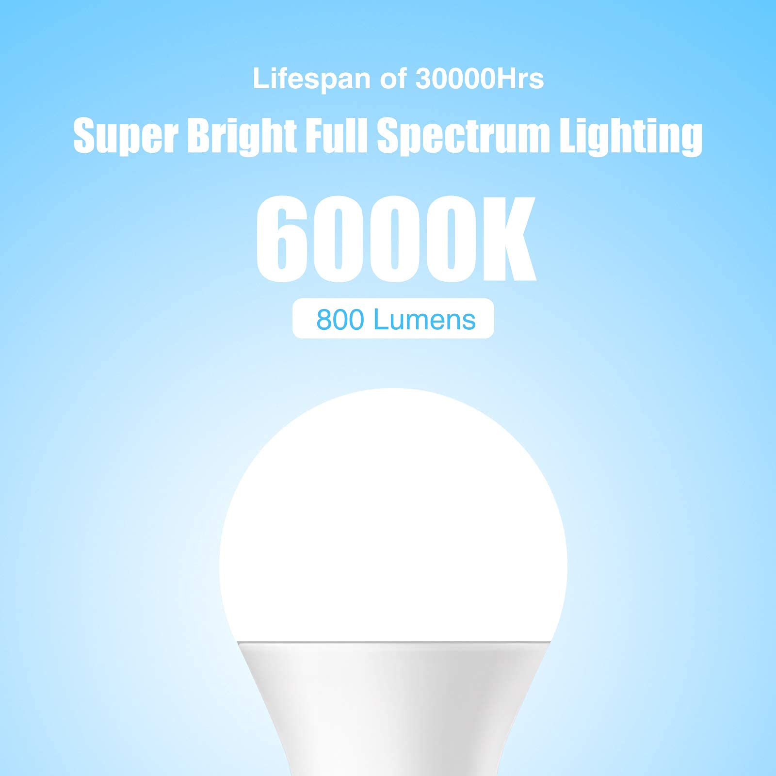 Full Spectrum Light Bulb, 6000K Natural Sunlight Bulbs, 9W 60W Equivalent LED Light Bulb, Natural Light Bulbs A19, E26/E27 LED Light Bulbs for Home, 3 Pack