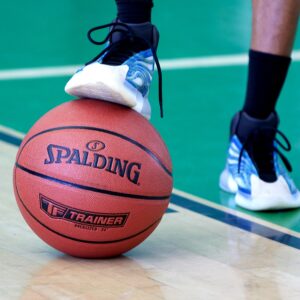 Spalding TF-Trainer 33" Oversized Indoor Basketball