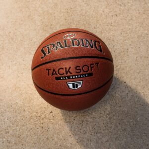 Spalding Tack Soft TF Indoor-Outdoor Basketball 29.5"