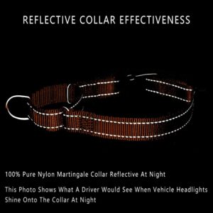 PLUTUS PET Reflective Martingale Collar with Quick Snap Buckle,No Pull Dog Choker Collar for Small Medium Large Dogs,L,Orange