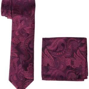 STACY ADAMS mens Classic Style Reg necktie, Burgundy, Regular US