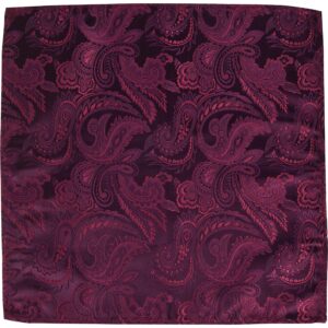 STACY ADAMS mens Classic Style Reg necktie, Burgundy, Regular US