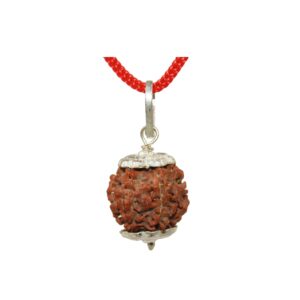 IS4A 100% Original & Natural Rudraksha Pendant (Locket) Silver Pendant (5 Mukhi (Fcae))