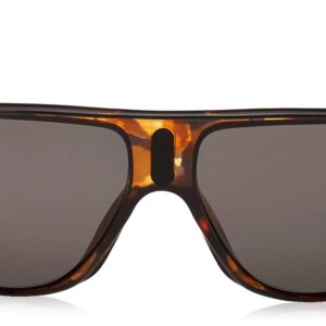 Carrera unisex adult Safari65 Sunglasses, Brown/Polarized Gray, 62mm 15mm US