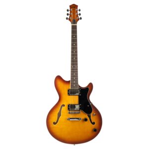 eart e-325 6 string semi-hollow-body electric guitar, roasted mahogany neck,stainless steel frets, playing jazz,tobacco sunburst