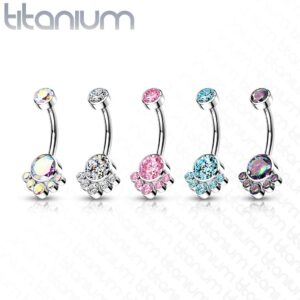 Dynamique Implant Grade Titanium Internally Threaded Top Round Bezel Set CZ Cluster Belly Button Ring (Sold Per Piece)