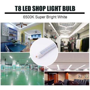 WAHADI 6-Pack 6FT 40W T8 LED Tube Light Daylight White 6000k with Dual-Row LED Chips FA8 Single Pin Base Clear Cover 6 Foot LED Bulbs to Replace T8 T10 T12 Fluorescent Light, ETL Listed