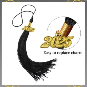 Herrenbek Matte Adult Graduation Cap with 2024 2025 Tassel Unisex Adjustable Graduation Cap Black