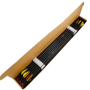 Linkboy Archery Carbon Arrow Hunting Practice Target Arrow with Removable Tip for Compound Recurve Bows, Spine 340,29inch Pack of 12PCS