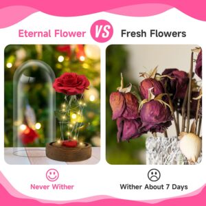 Refresh 2023 Beauty and The Beast Rose, Enchanted Red Silk Rose in Glass Dome with LED Light Romantic Rose Kit for Best Gifts Valentine's Day& Girlfriend& Wedding Anniversary& Birthday.