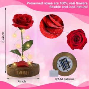 Refresh 2023 Beauty and The Beast Rose, Enchanted Red Silk Rose in Glass Dome with LED Light Romantic Rose Kit for Best Gifts Valentine's Day& Girlfriend& Wedding Anniversary& Birthday.