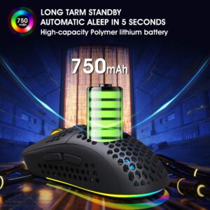 HXMJ Type C Fast Charging Bluetooth Mouse,Honeycomb Wireless Gaming Mice,Lightweight,3 Modes(BT5.0, BT3.0 and USB 2.4GHz) with 3600 DPI,RGB Rainbow Backlit-Black