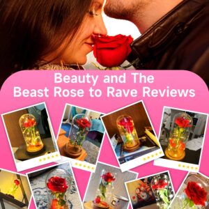 Refresh 2023 Beauty and The Beast Rose, Enchanted Red Silk Rose in Glass Dome with LED Light Romantic Rose Kit for Best Gifts Valentine's Day& Girlfriend& Wedding Anniversary& Birthday.