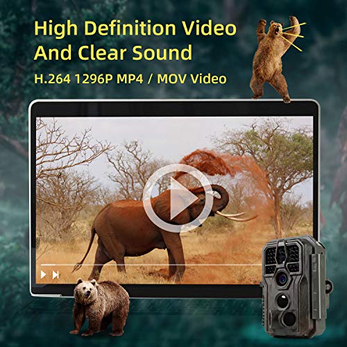 2-Pack Outdoor Trail Game Cameras 24MP Picture 1296P/1080P Video Wildlife Hunting Deer Camera 100ft Night Vision No Glow 0.1S Trigger Speed Motion Activated Waterproof Password Protected Time Lapse