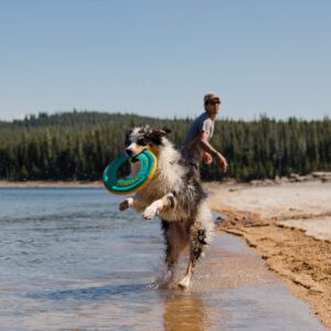 Ruffwear, Hydro Plane Floating Disc for Dogs, Aurora Teal, Large