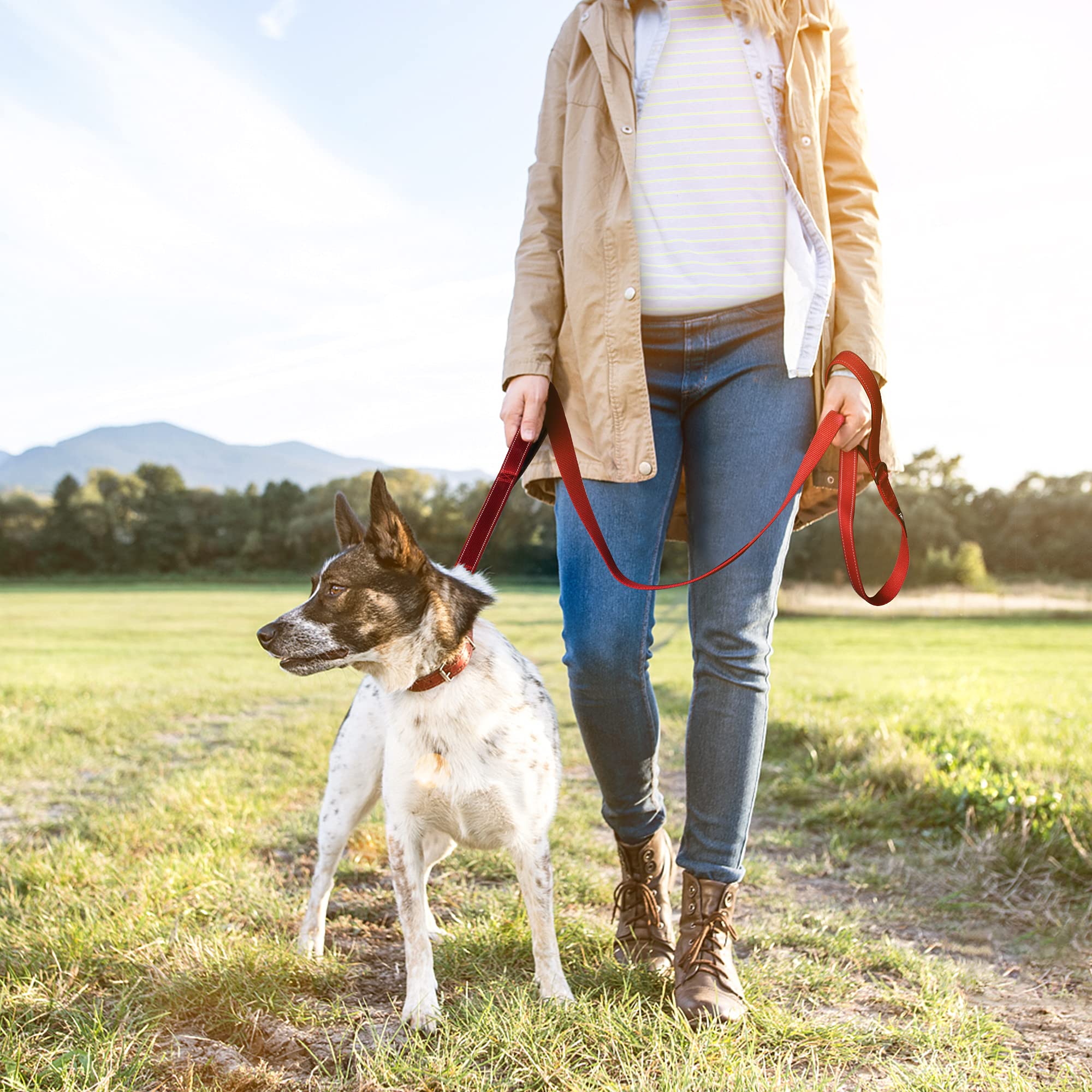 TwoEar 5FT 1IN Strong Red Dog Leash with 2 Padded Handles, Traffic Handle Extra Control, Comfortable Soft Dual Handle, Auto Lock Hook, Reflective Walking Lead for Small Medium and Large Dogs