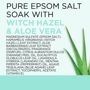 Dr Teal's Pure Epsom Salt Soak, Clarify & Smooth with Witch Hazel & Aloe Vera, 3 lbs